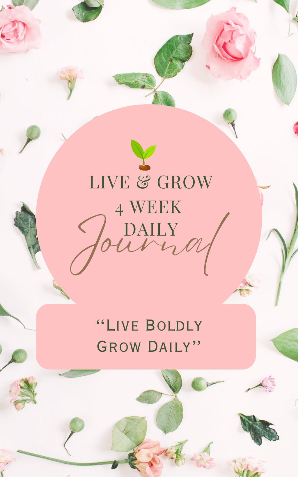 4 Week Daily Journal