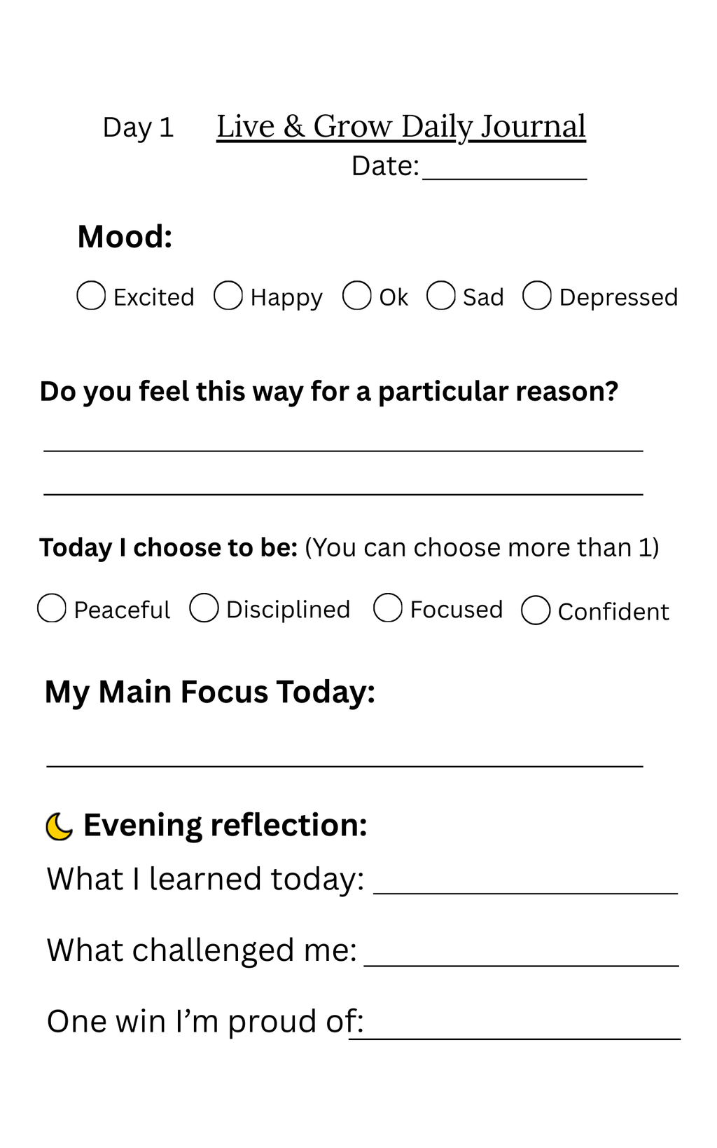 4 Week Daily Journal